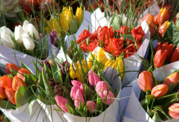 Қазақстанға гүлдер қай елдерден жеткізіледі