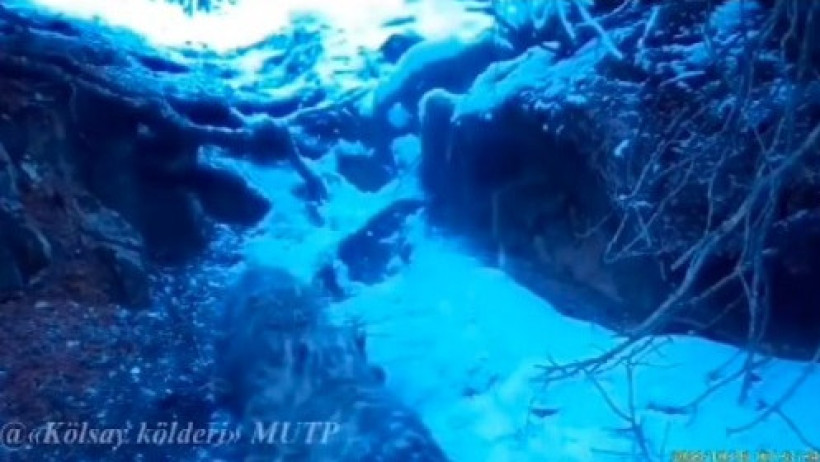  Кадр из видео 