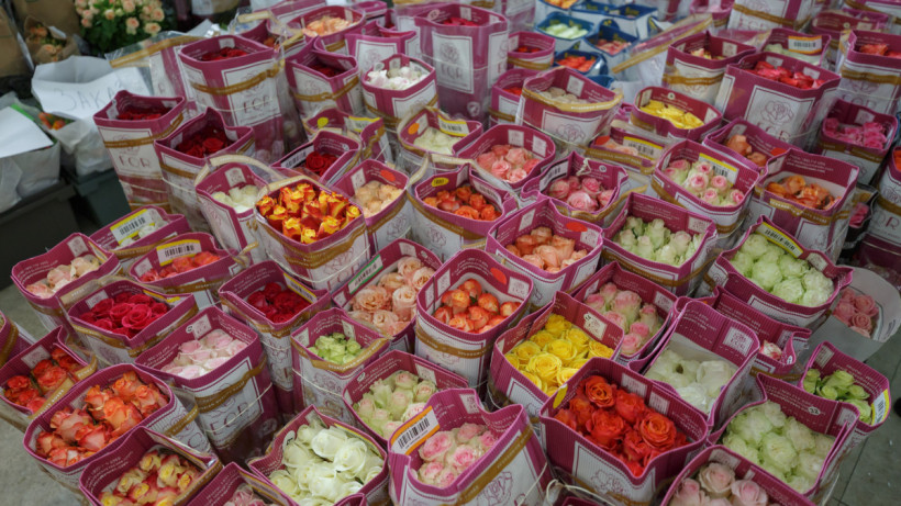  © El.kz/Артем ЧУРСИНОВ 