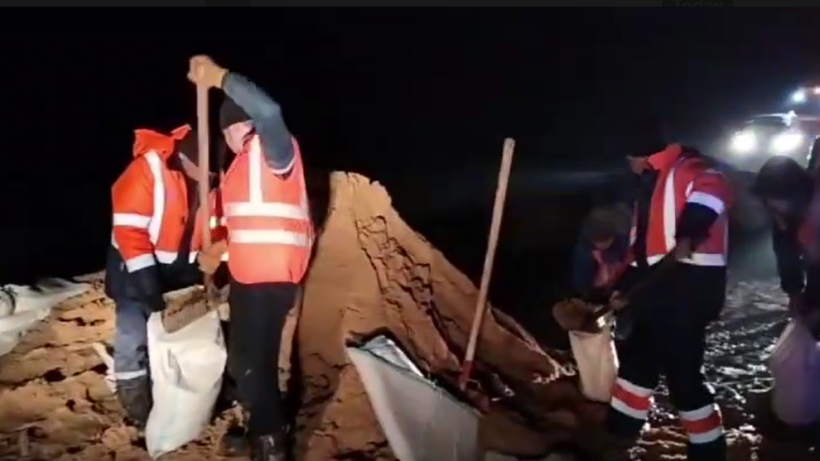  Видеодан кадр 