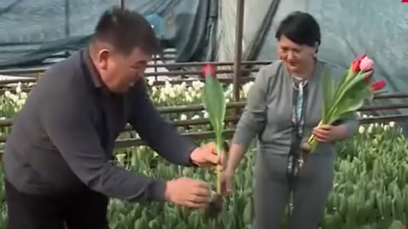  Видеодан кадр 