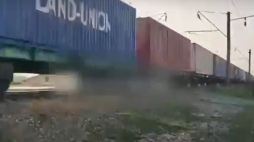  Видеодан кадр 