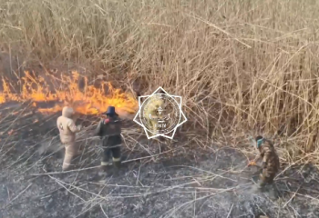 На побережье Каспийского моря тушат пожар