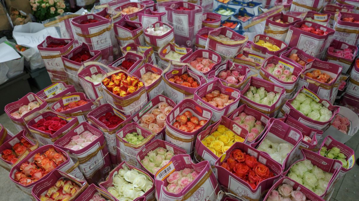  © El.kz/Артем ЧУРСИНОВ 