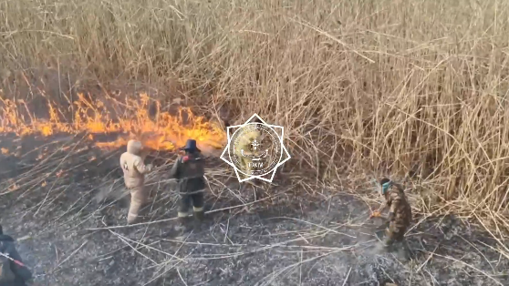  кадр из видео 