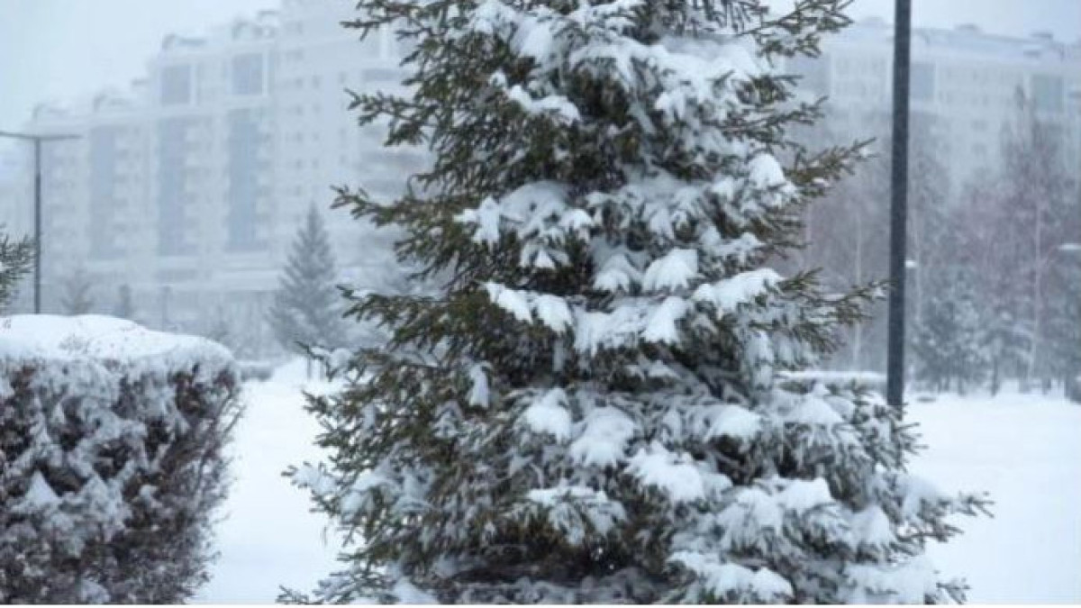  ©El.kz/Жалгасбек ТОКТАМЫСОВ 