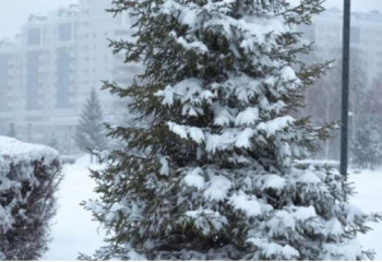 Штормовое предупреждение объявлено на большей части Казахстана