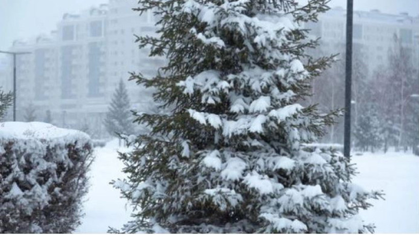  ©El.kz/Жалгасбек ТОКТАМЫСОВ 