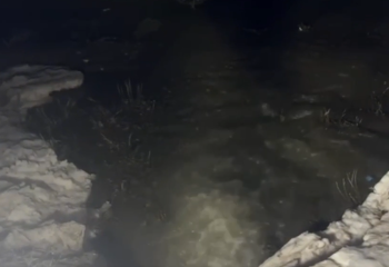 Абай облысының Мақаншы ауданындағы ахуал айтылды