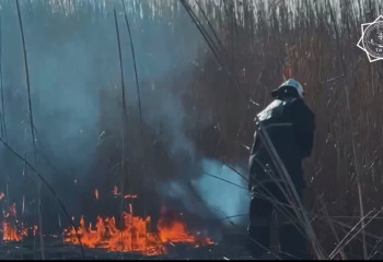Горящий камыш потушили в Атырауской области