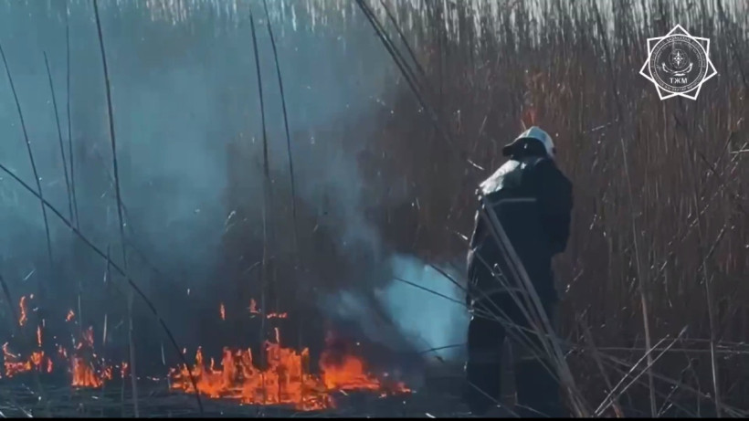  Кадр из видео 