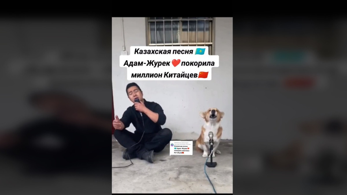 Китаец вместе с собакой исполнили песню «Жүрек» на казахском языке