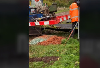 Казахстанка заработала в Англии на уборке овощей на дом в Астане и рассказала о минусах