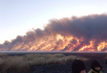 Каспий жағалауындағы қамыс  өрті сөндірілді