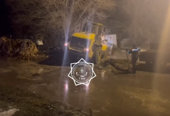 Талые воды подтопили село в Алматинской области