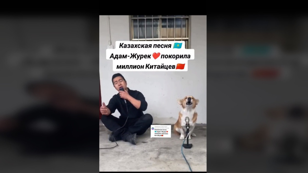  Кадр из видео 