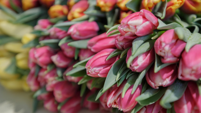  ©El.kz/Артем ЧУРСИНОВ 