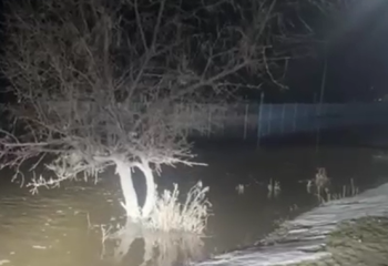 Абай облысында республикалық маңызы бар жолды су басты