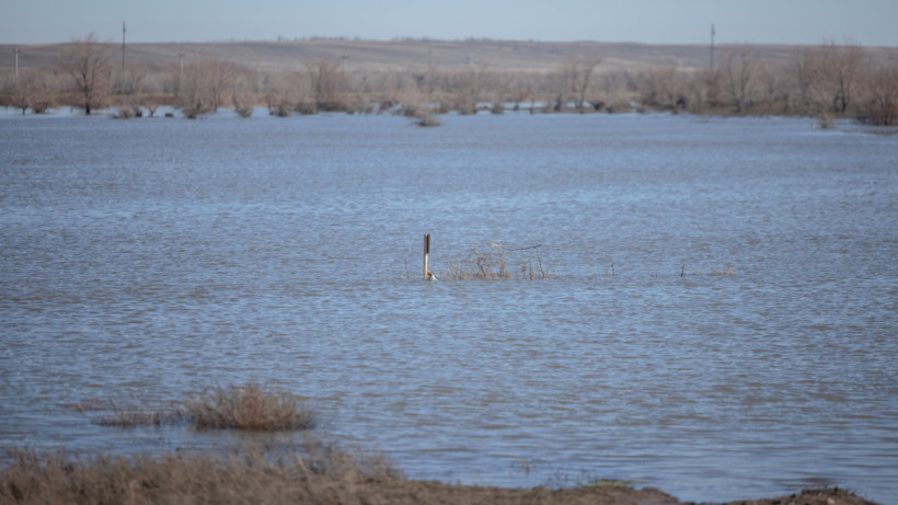  ©El.kz/Артем ЧУРСИНОВ 