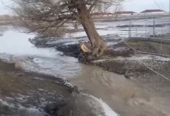 Село Бахты подтопило в области Абай