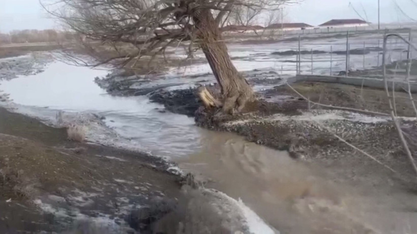  Кадр из видео 