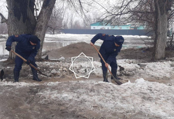 Жетісу облысында 19 үйдің ауласын су басты