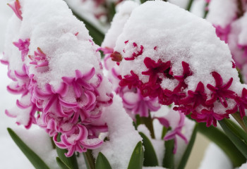 «20 градус аяз, тұман, көктайғақ». Алдағы үш күнде ауа райы қандай болады