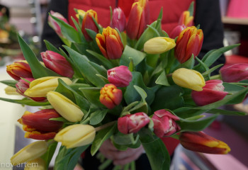 Подросток из Костаная купил цветы и отправился в Астану помириться с девушкой, но его вернули домой