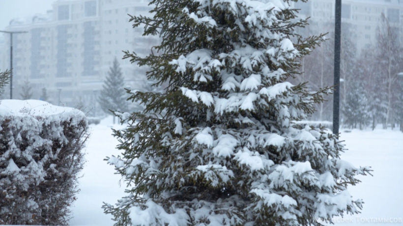  ©El.kz/Жалгасбек ТОКТАМЫСОВ 