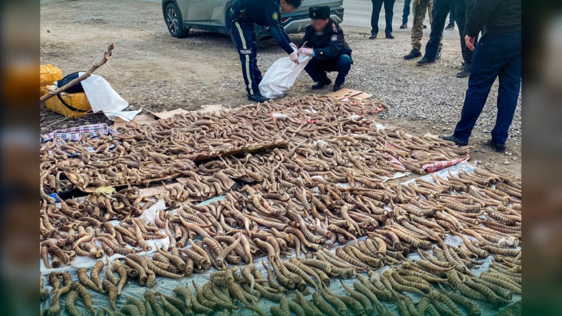  пресс-служба КНБ РК 