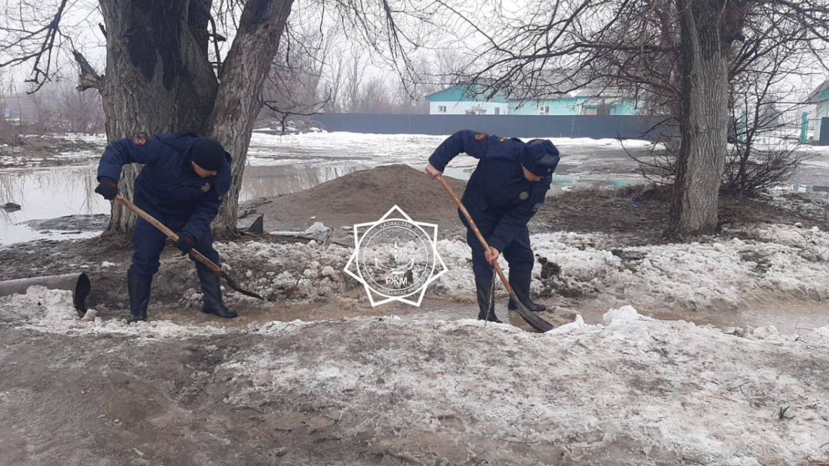  ТЖМ 