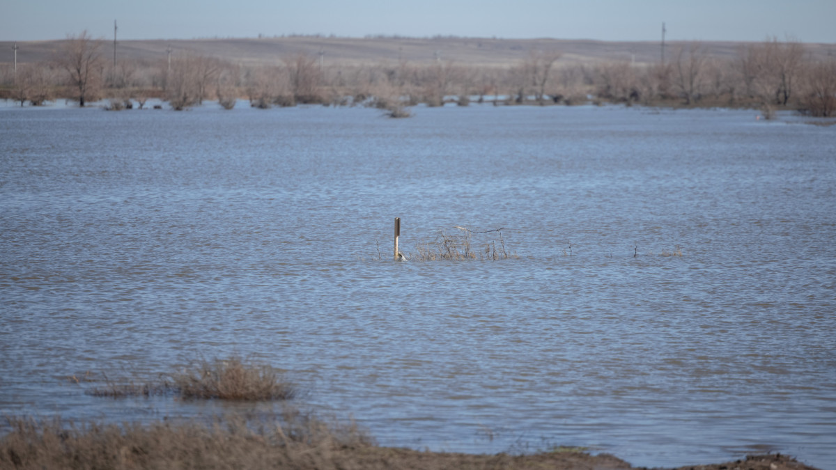  ©El.kz/Артем ЧУРСИНОВ 