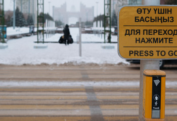 Жаяу жүргіншіні қағып, қашып кеткен жүргізуші ұсталды