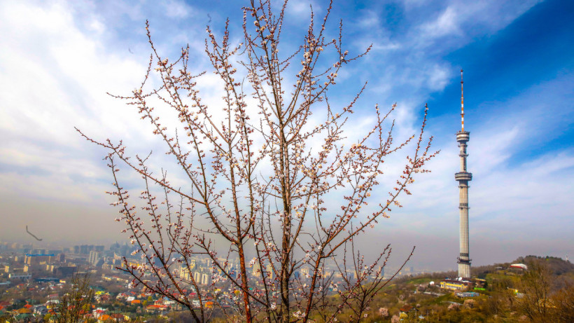  ©El.kz/Александр ПАВСКИЙ 