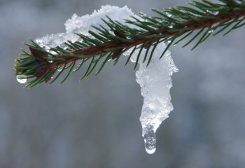 Ауа температурасы: елімізде 78 жыл бұрынғы рекорд жаңарды