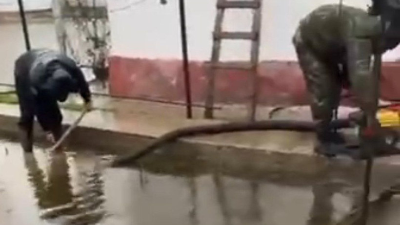  Видеодан кадр 