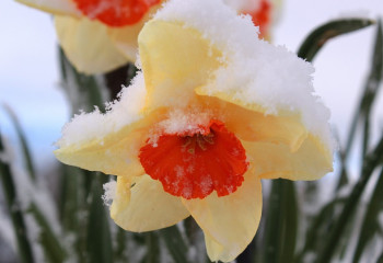 Қазақстанда ауа райы күрт өзгереді