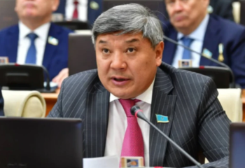 Біржыныстылық, педофилизм. Депутат азғындықтың басты себептерін атады