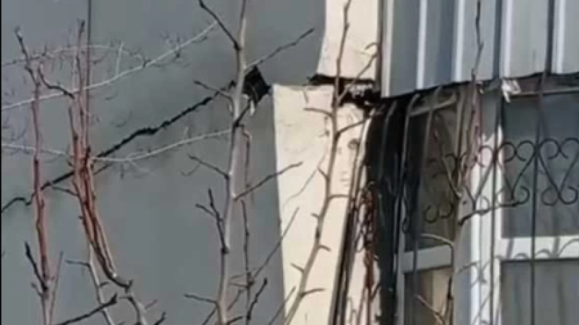  Видеодан кадр 