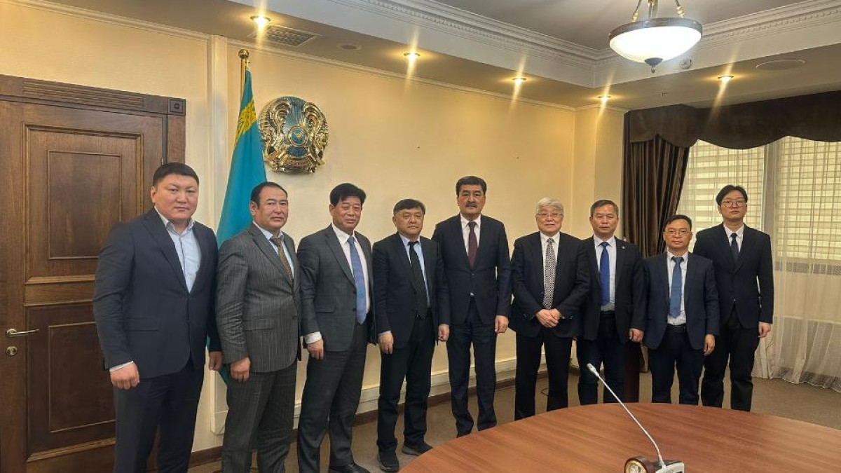 Chinese company proposes new way to produce electricity in Kazakhstan