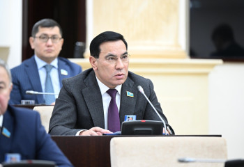 Миллиардтаған теңгеге салынған қоқыс өңдеу зауыттары жұмыс істемейді - сенатор