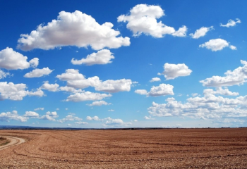 Екібастұз әкімдігі МАЭС-ке арналған жер үшін 900 млн теңге артық төлемек болған