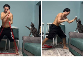 Котик-тренер умилил казахстанцев