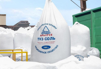 ЕБРР выделил кредит размером 5,5 млрд тенге казахстанскому производителю соли