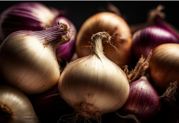 В Минсельхозе прокомментировали информацию о пропаже урожая лука