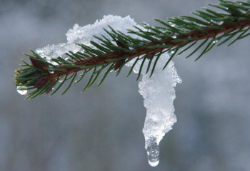 Еліміздің 11 өңірінде ауа райына байланысты ескерту жарияланды