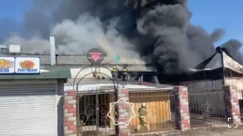  Видеодан кадр 