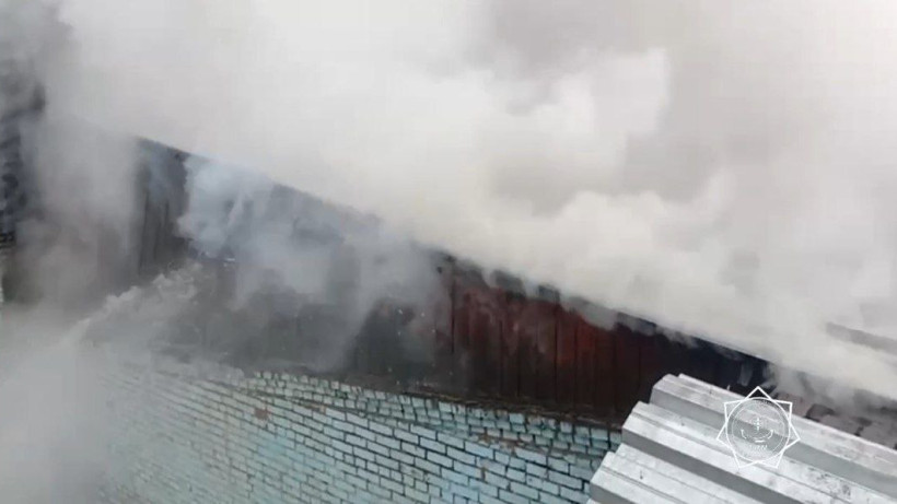  Видеодан кадр 