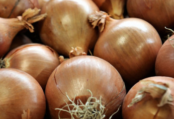 Елімізде өндірілген пияз көлемі сұраныстан үш есе көп