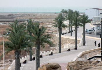 Ақтауда жасанды пальмалар «солып қалды»